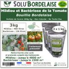Bouillie Bordelaise Non Colorée spécial Mildiou et Bactériose de la Tomate, SOLU