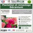 Pastilles biostimulantes MYCORHIZES et bactéries pour semis et plantation spécial Géraniums, SOLU