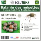 SOLUNEMA - Balanin des noisettes - Nématodes (HB)