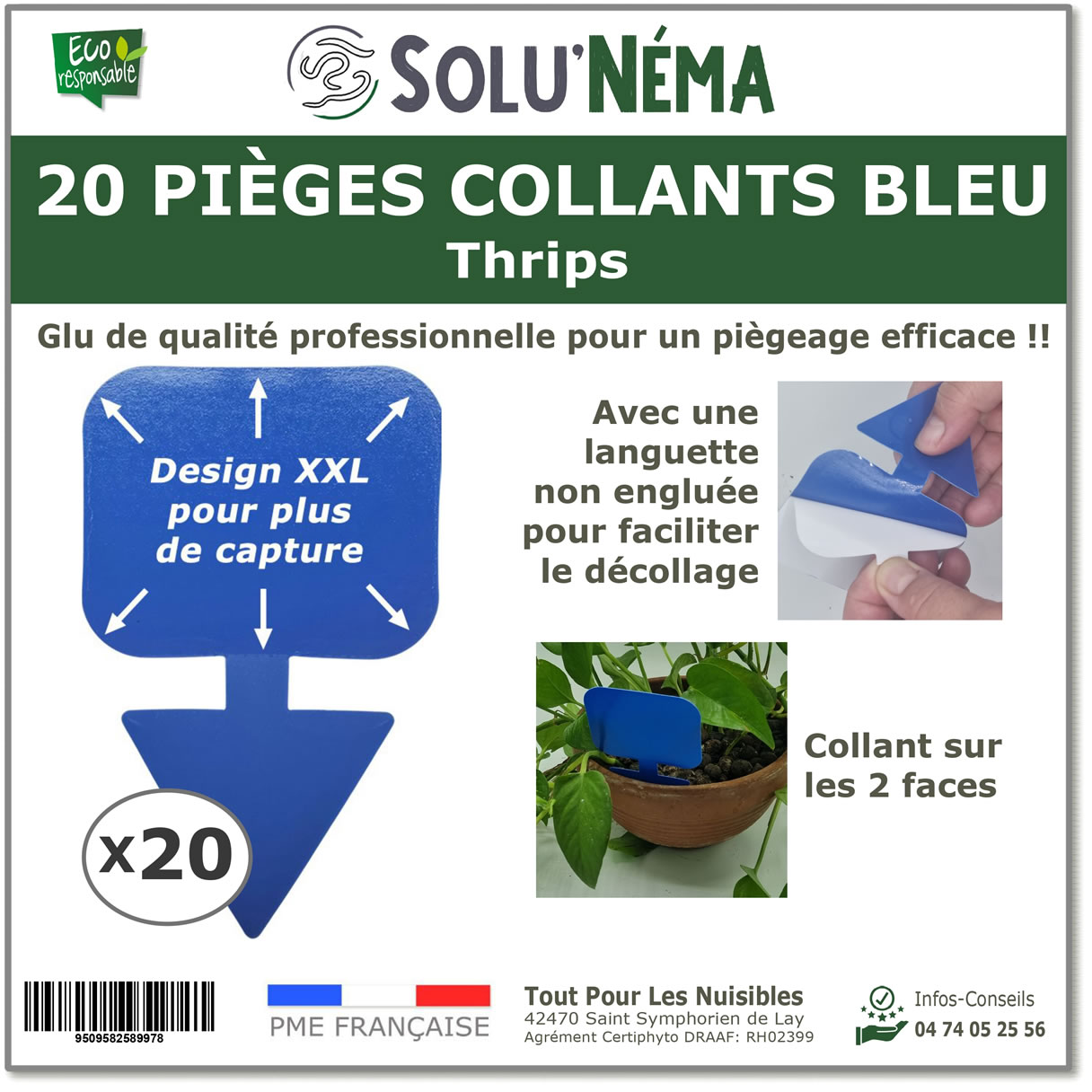 Piège collant bleu à insectes : thrip, mouche du terreau, moucheron pour plante en pot - Lot de 20