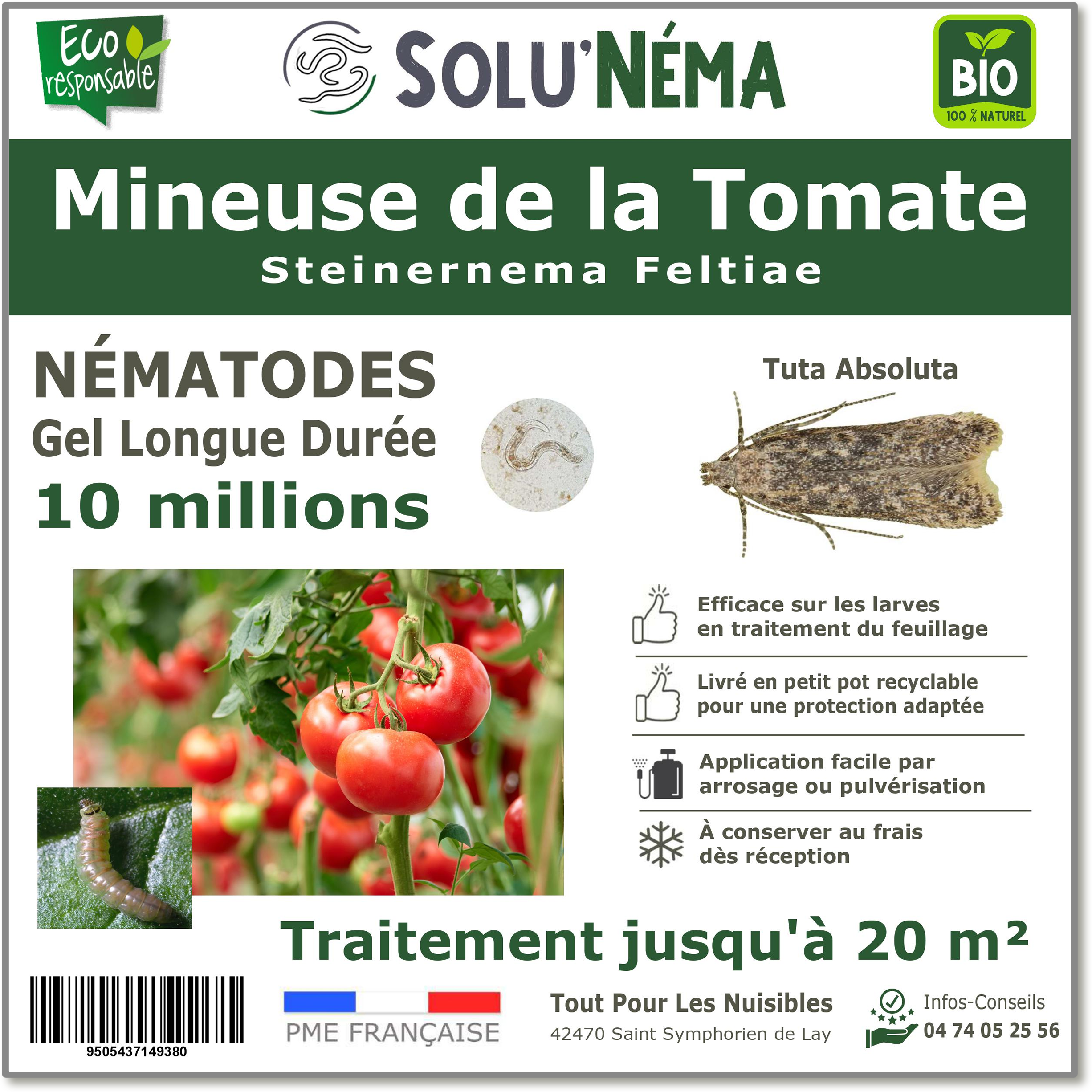 Traitement Mineuse de la tomate - 10 Millions Nématodes (SF)