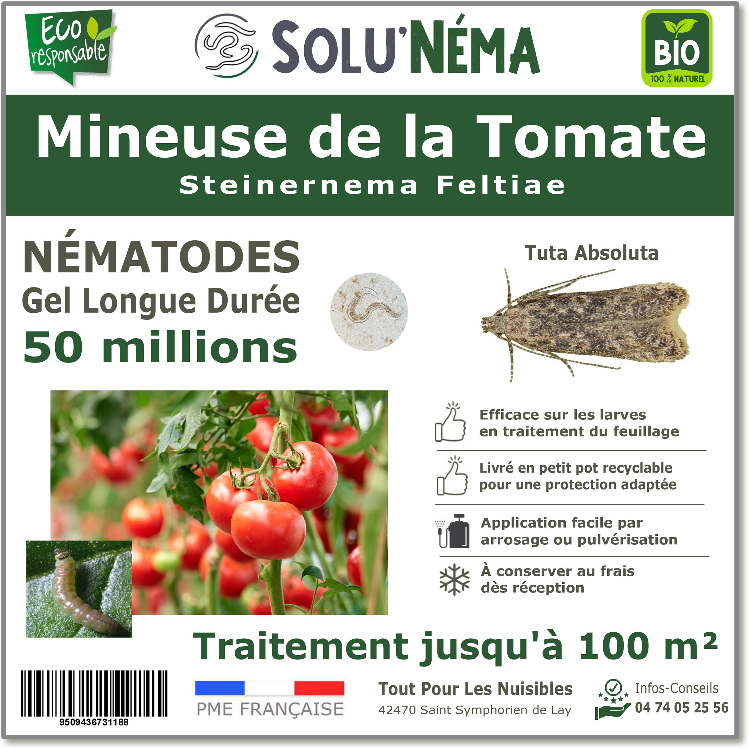 Traitement Mineuse de la tomate - 50 Millions Nématodes (SF)