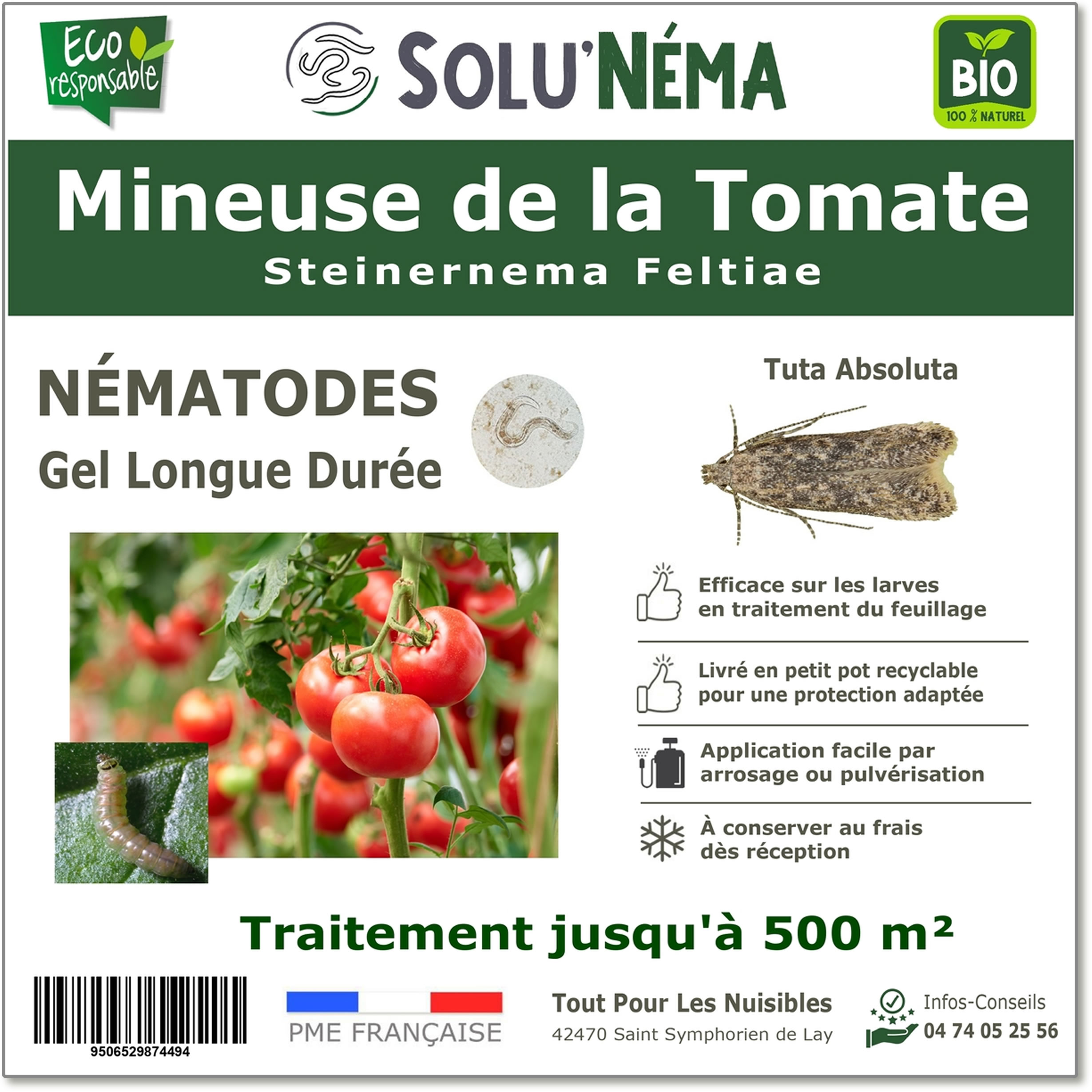 Mineuse de la tomate - Nématodes (SF)