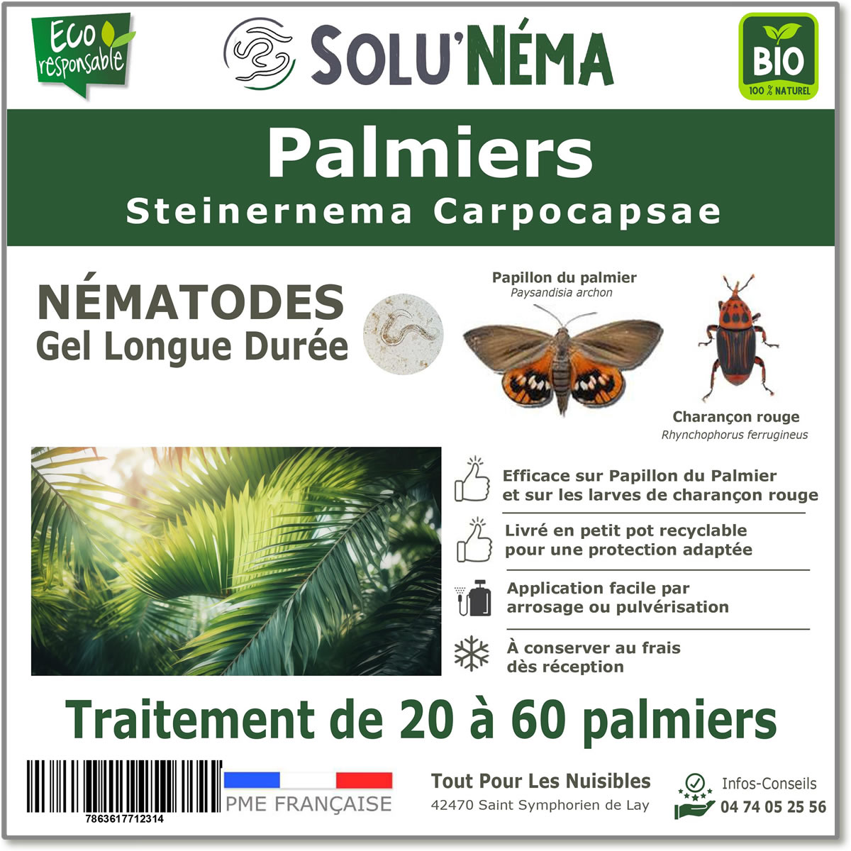 SOLUNEMA - Palmiers - Nématodes (SC)