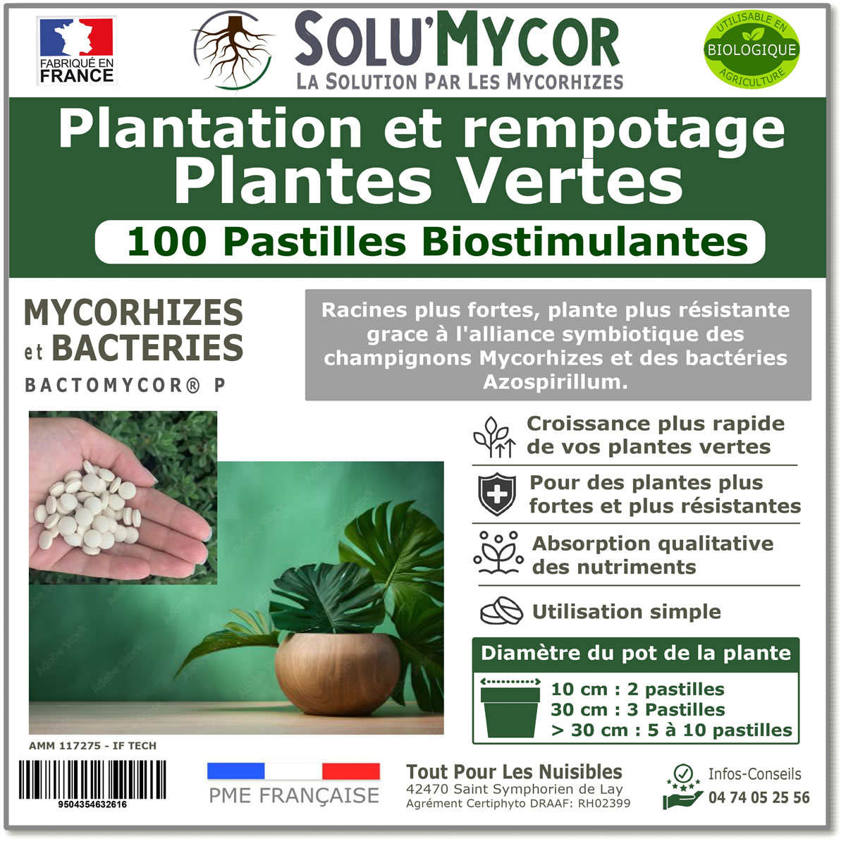 Pastilles biostimulantes MYCORHIZES et bactéries pour plantes vertes, SOLU