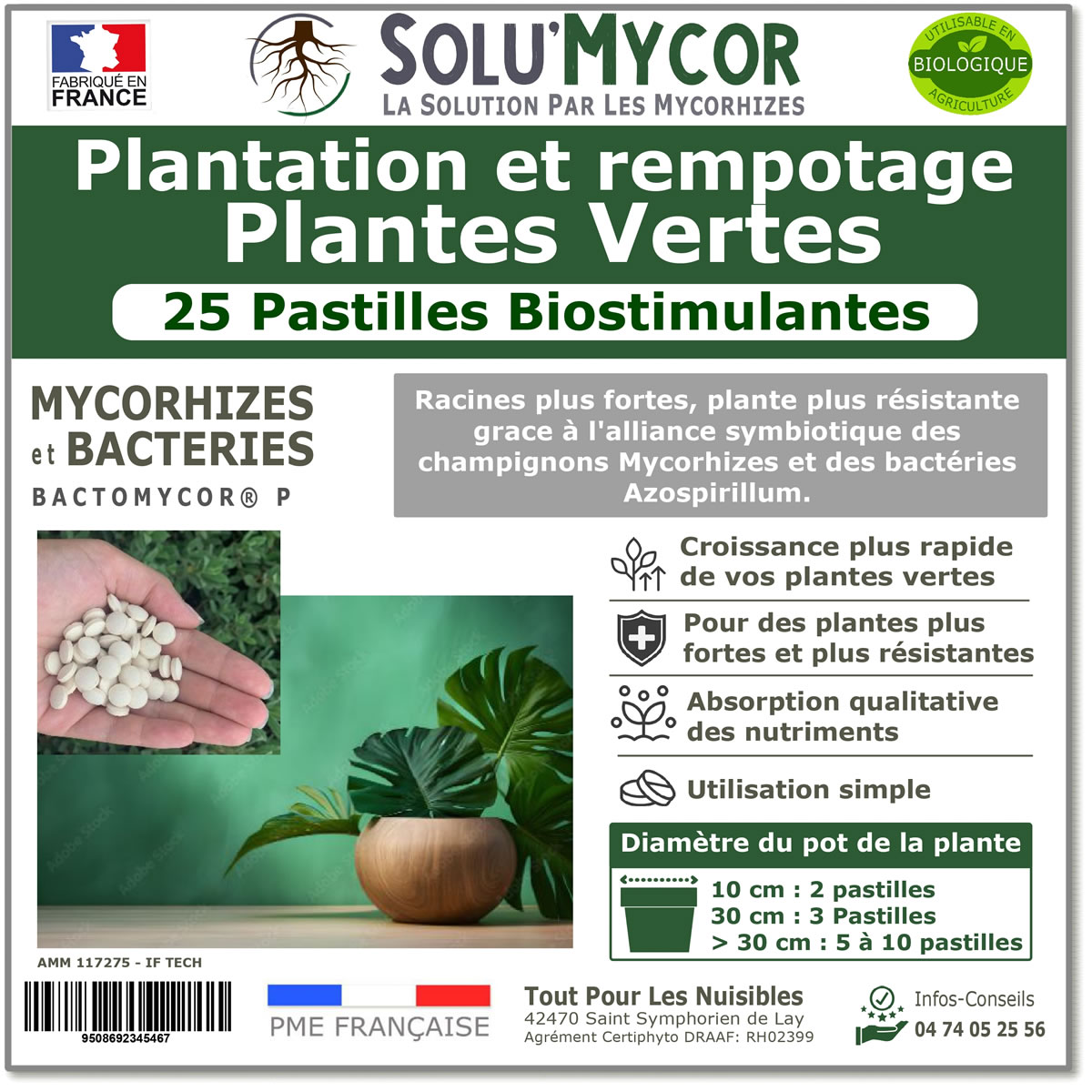 Pastilles biostimulantes MYCORHIZES et bactéries pour plantes vertes, SOLU